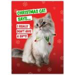 Christmas Cat Rude Funny Greeting Card