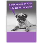 Funny Pug Dog Humour Card I Fart Because It's The Only Gas We Can Afford