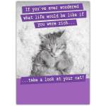 Funny Cat Humour Greeting Card If You Wondered What Life Would Be Like If You Were Rich