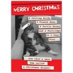 Humorous Cat Christmas Card with Funny Twelve Days of Christmas Dinner Joke