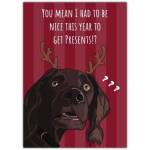 Funny Christmas Card Featuring Chocolate Labrador Dog with Reindeer Antlers and Humorous Text