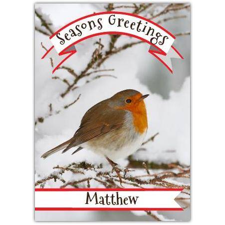 Personalised Seasons Greetings Robin Winter Bird Christmas Card