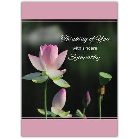 Thinking of You Sympathy Card with Pink Blossoming Flowers Design