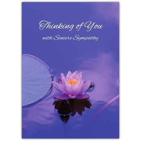 Sympathy Card Purple Water Lily Thinking of You with Sincere Sympathy