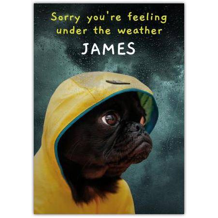 Personalised Sorry You're Feeling Under the Weather Get Well Card with Dog in Raincoat Design