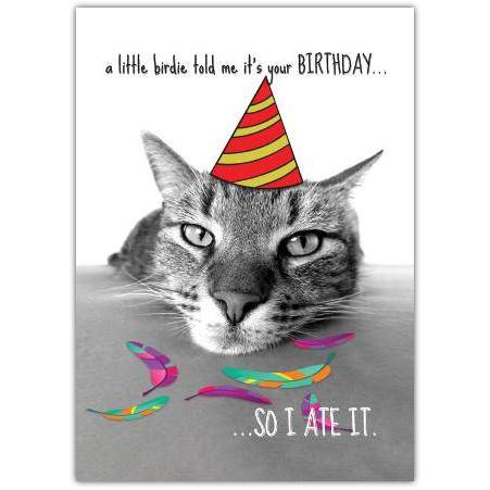 Humorous Cat Birthday Card with Party Hat and Bird Confetti Design