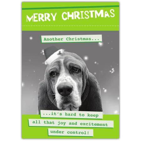 Funny Christmas Card with Sad Dog Wearing Santa Hat and Humorous Greeting